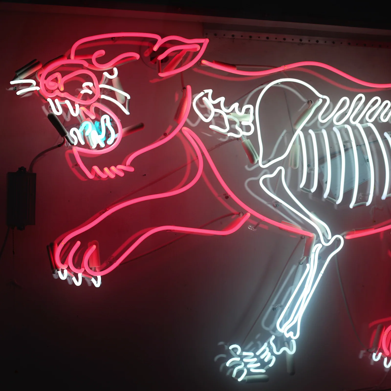 Neon sign by Neon Flamingo 2