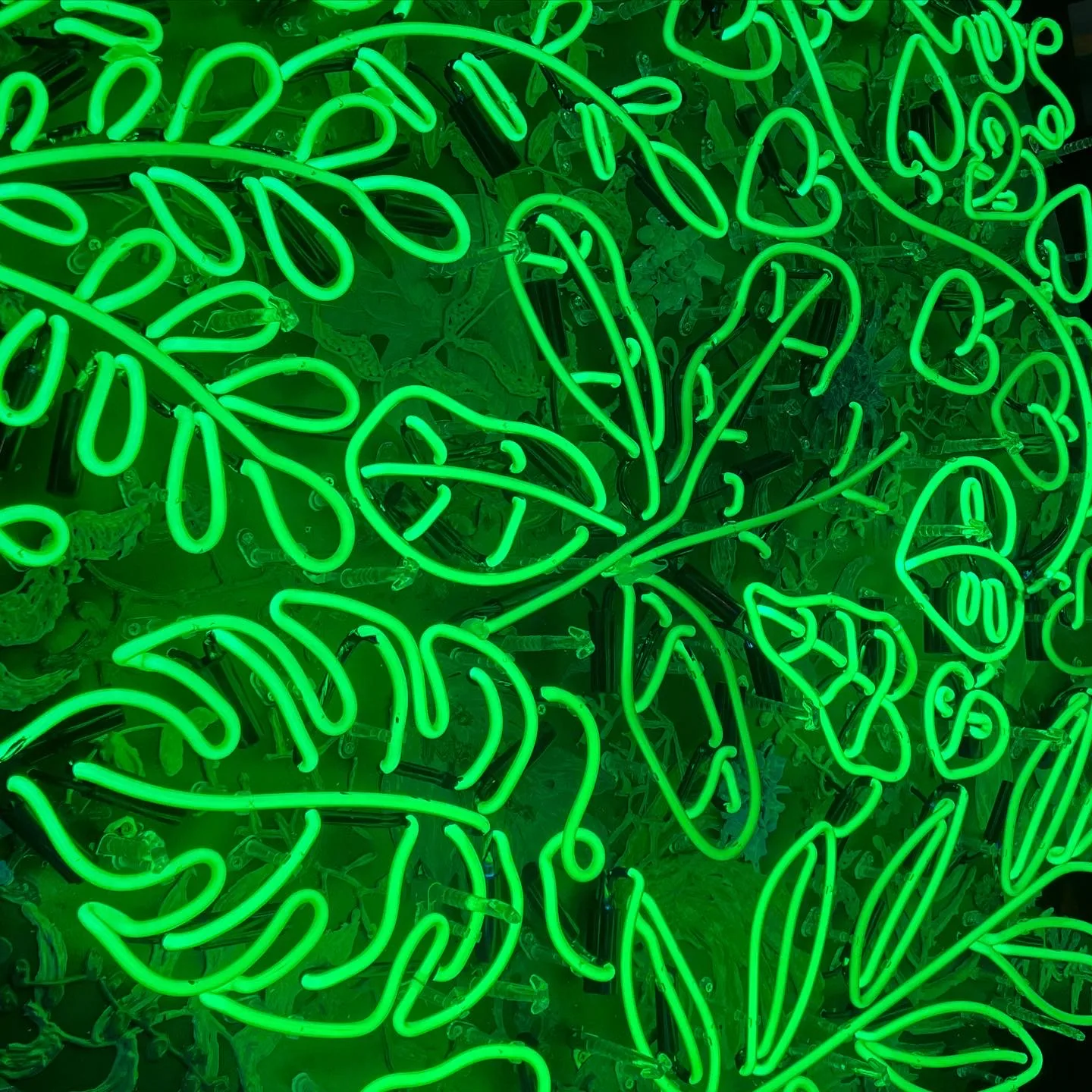 Advantages and Disadvantages of Different Neon Backings
